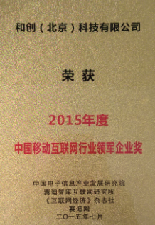 2015中国互联网行业领军企业