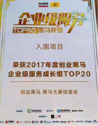 2017年度企业服务TOP20